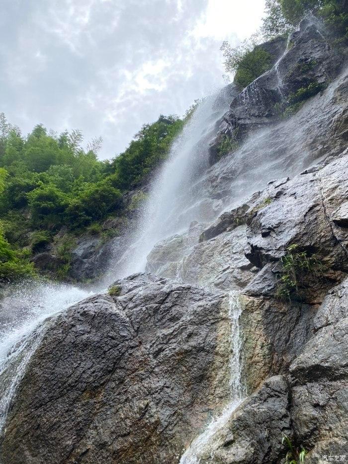 蓉企成功驯化野生羊肚菌 2万亩地产出4亿元
